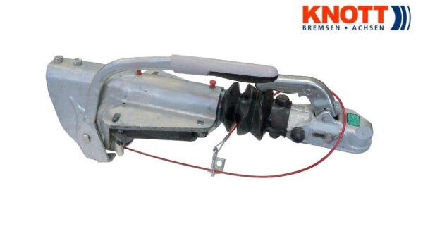 klf20b